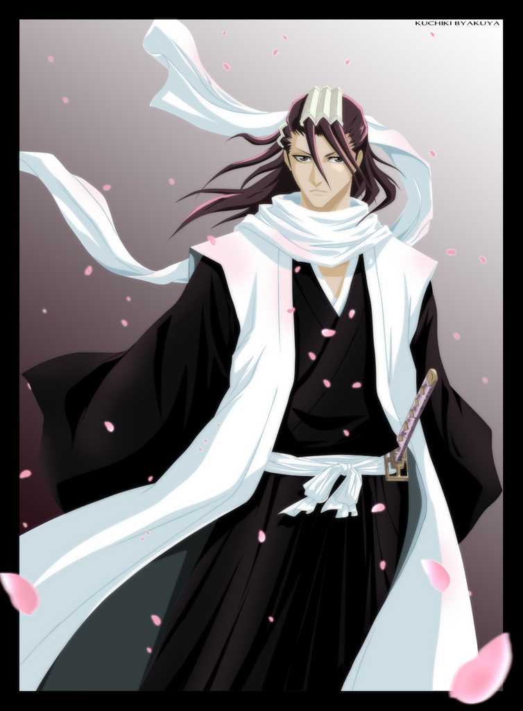 1793208-kuchiki byakuya